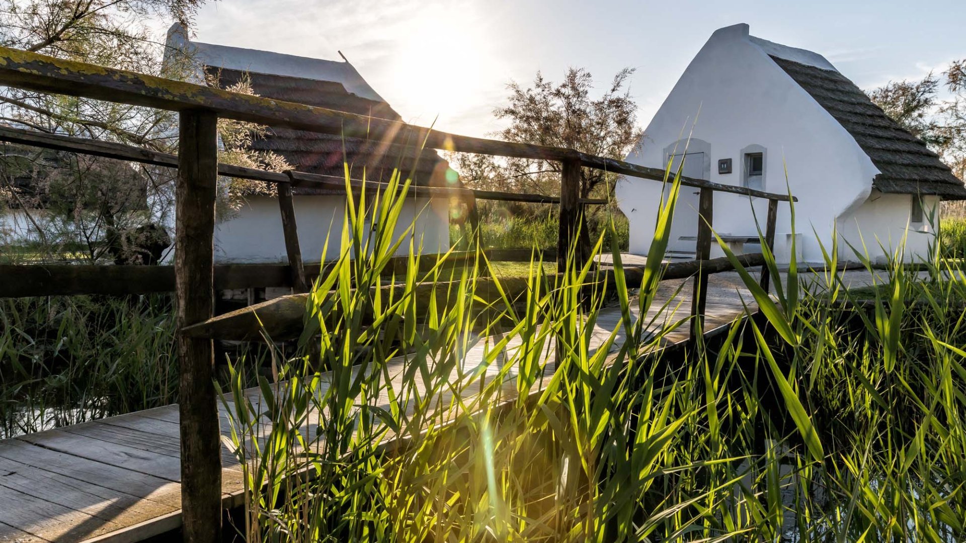 Instant bien-être !