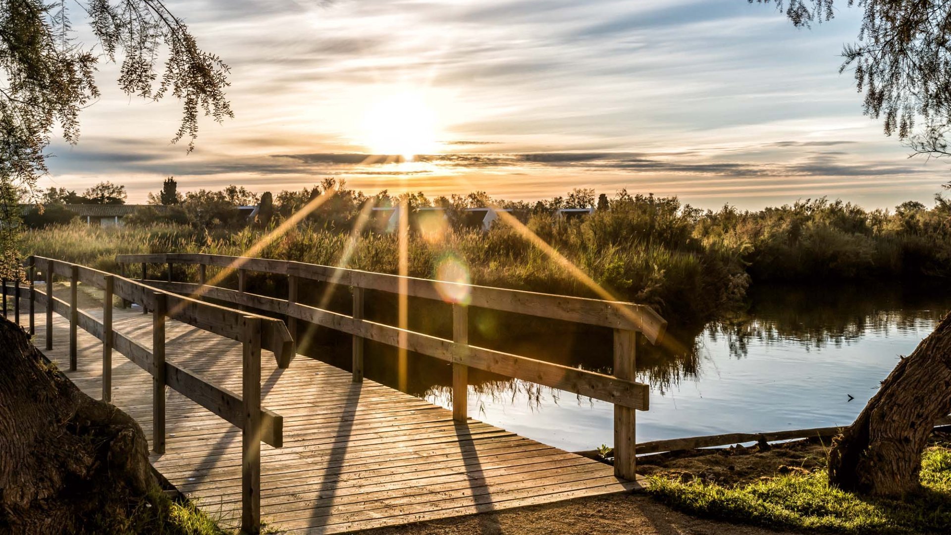 Un dimanche détente & découverte